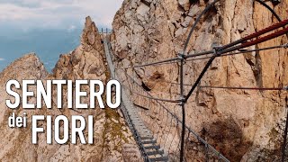 SENTIERO dei FIORI  Cima PAYER • mt 3056 slm • Gruppo dellAdamello [upl. by Ordep]