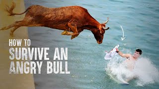 How to Survive a Charging Bull [upl. by Sargent]