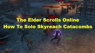 ESO How To Solo Skyreach Catacombs The Best EXP Farming Location [upl. by Nnovahs]