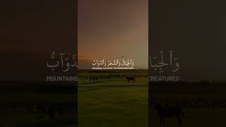 Surah Hajj Ayat 18 beautiful Recitation by Sheikh Yaser Dossary [upl. by Ltsyrk43]