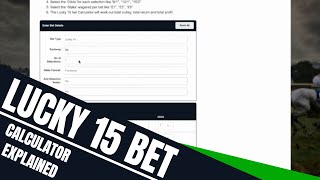 How To Use Lucky 15 Bet Calculator  Betting Explained [upl. by Burt]