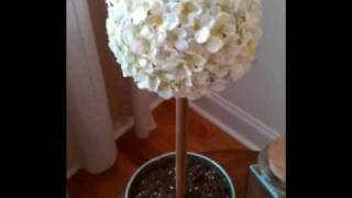 Hydrangea Tree Topiary From wwwDecorStealscom Previously WUSLU [upl. by Nolita]