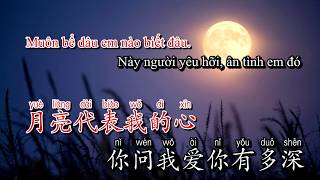 Karaoke Ánh Trăng Nói Hộ Lòng Tôi  月亮代表我的心  Đặng Lệ Quân 邓丽君 [upl. by Ennasor]