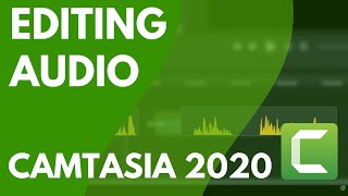 Editing Audio with Camtasia 2020 Easy [upl. by Carboni913]