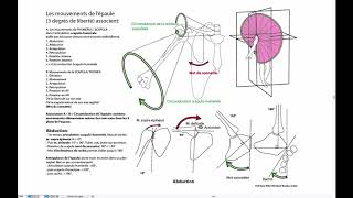Mouvement de lépaule [upl. by Bick297]