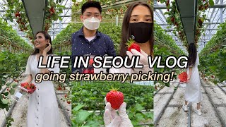 Life in Korea VLOG Strawberry picking in Seoul 🍓ft cute farm animals [upl. by Rento]