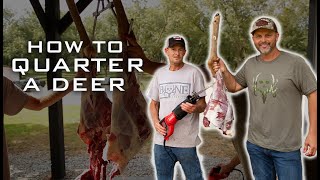 How To QUARTER A DEER The Easy Way [upl. by Wershba]