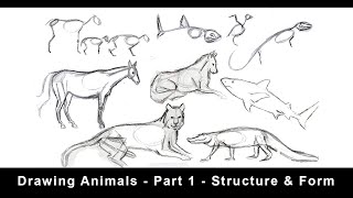 Drawing Animals for Beginners  Part 1  Structure amp Form [upl. by Linder]