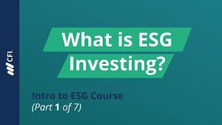 What is ESG Investing  Intro to ESG Course Part 1 of 7 [upl. by Lenes35]