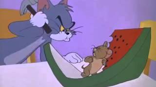 Tom and Jerry Cartoon The Tom and Jerry Cartoon Kitmp4 [upl. by Tobye]