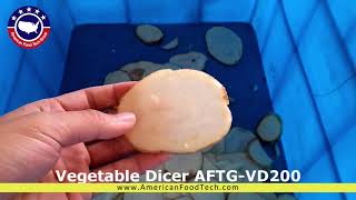 Vegetable Dicer AFTGVD200 [upl. by Waki]