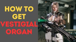 How to Get Vestigial Organ in The First Descendant [upl. by Vinna4]