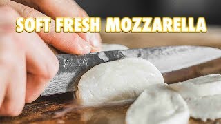 30 Minute Homemade Fresh Mozzarella Cheese [upl. by Anelegna]