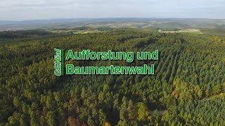 GENial 08  Aufforstung und Baumartenwahl [upl. by Bertold]