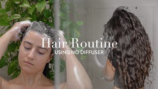 My FrizzFree Natural WavyCurly Hair Routine No Diffuser [upl. by Minnaminnie]