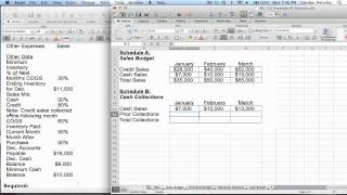 Master Budget Demonstration Part 1 [upl. by Cathleen]