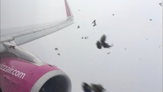 BIRDSTRIKE Wizzair  A321  Eindhoven  Budapest  full flight video [upl. by Trey]