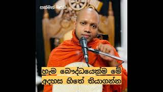 හැම බෞද්ධයෙක්ම මේ අදහස හිතේ තියාගන්න හසලක සීල විමල ස්වාමීන් වහන්සේ [upl. by Fredenburg]