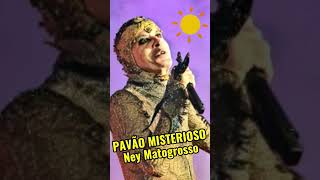 PAVÃO MISTERIOSO DE NEY MATOGROSSO  Poema Pro Dia Nascer Feliz pavaomisterioso neymatogrosso [upl. by Lebasi]