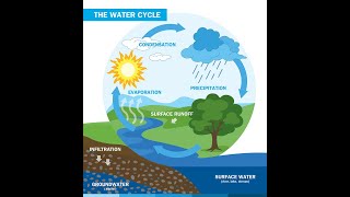 05th Science TN Sources of waterநீர் ஆதாரங்கள் [upl. by Billmyre]