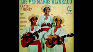 Los Hermanos Alvarado  Volumen 1  CD Completo [upl. by Kceb]