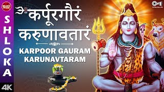 Karpur gauram karunavataram mantra meaning in hindi  shiv mantra  hindu most sacred mantra [upl. by Ybanrab]