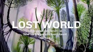 Worlds Oldest Fossilized Forest Unearthed in NY [upl. by Forelli]