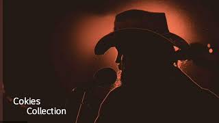 White Horse  Chris Stapleton [upl. by Aldous424]