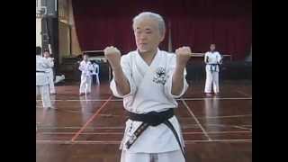 Tensho Kata by Shihan Sadahiro [upl. by Anigroeg]