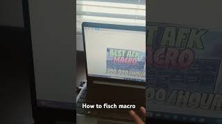 How to fisch macro fisch [upl. by Belamy]