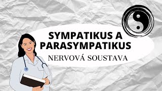 NERVOVÁ SOUSTAVA  Sympatikus a parasympatikus [upl. by Sitra210]