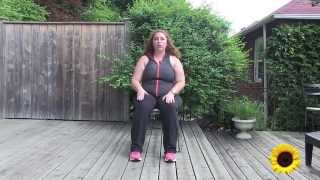 Seated Exercise Head To Toe Gentle Workout [upl. by Otsenre301]