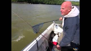 Fishing For Gilthead Bream  Video [upl. by Xanthe507]