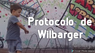 Autismo Protocolo de Wilbarger [upl. by Ibbed]