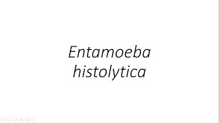 Entamoeba histolytica  Parasitology [upl. by Yhtomit]