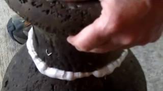 How to repair concrete fountain birdbath [upl. by Aikas129]