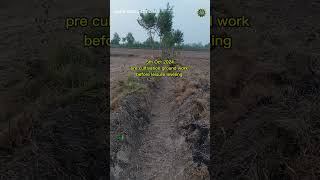 5th Oct 2024 land ground work before laser leveling [upl. by Ynahpets716]