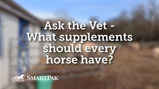 Ask the Vet  What supplements should every horse have [upl. by Alyks]