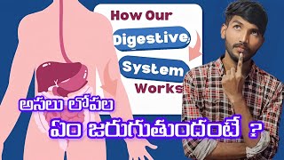 how does the human digestive system work step by step humandigestivesystem digestivesystem [upl. by Darej]