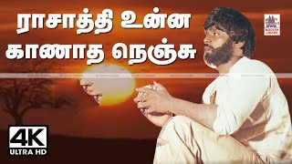 Rasathi Unna Kanatha Nenju  ராசாத்தி உன்ன காணாத  Ilaiyaraja Jayachandran [upl. by Doralynn226]