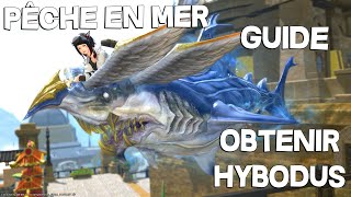 Final Fantasy XIV  Guide Pêche en Mer  Obtenir la monture Hybodus  La mascotte Requin Commandeur [upl. by Rhyne]