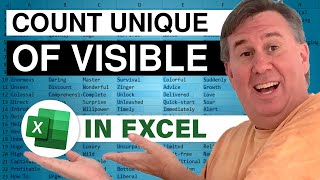 Excel Unique Count of Visible Rows  Episode 2399 [upl. by Riehl51]