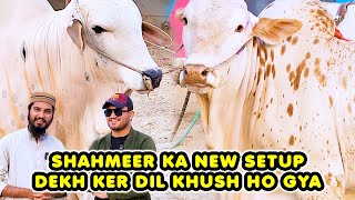 Setup Tour at New Farm of Shahmeer  Noori Cattle Farm  Cattle Market Karachi [upl. by Aes]