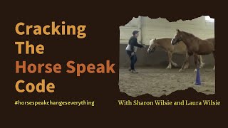 Cracking The Horse Speak Code  Horse Speak 101 [upl. by Ylatfen]