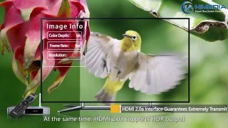 HiMedia Q5 Pro Profile 1080P [upl. by Minny]