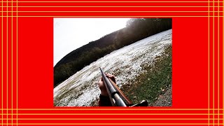 Winchester 69A at the Range [upl. by Kidder173]