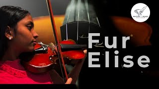 Für Elise  Violin Cover Song  Rhythm N Reads [upl. by Tonye766]