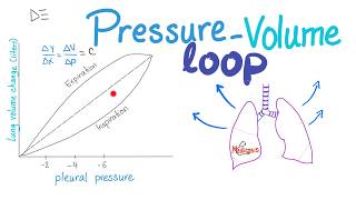 PressureVolume Loops  Compliance  Respiratory Physiology [upl. by Haymo941]