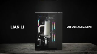 LIAN LI  O11 DYNAMIC MINI Official Video [upl. by Eglanteen]