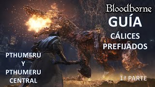 Bloodborne Guía de cálices Pthumeru y Pthumeru central 1ª parte [upl. by Lisan]